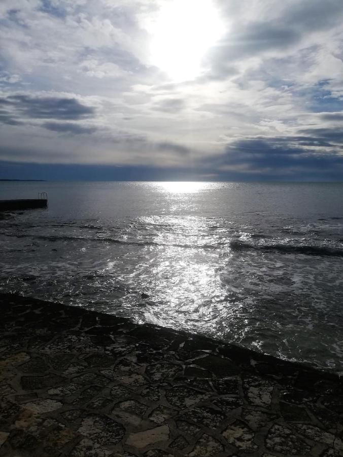 Apartment Jana Novigrad Istria Kültér fotó
